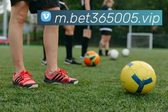 bet365中国官网发展历程